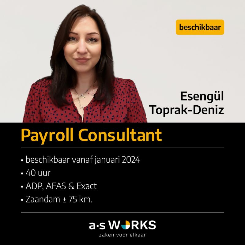 payroll consultant amsterdam