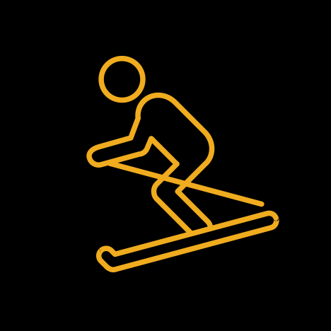 ski